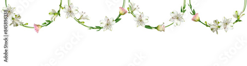 White and pink flowers. Lilies. Roses. Garland of flowers. Beautiful floral background. Green leaves. Buds.