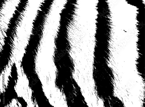 monochrome zebra or tiger fur background. Not AI, Vector illustration
