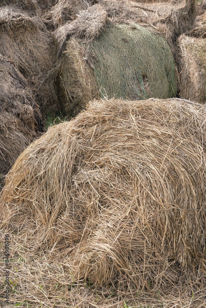 Decomposing bales of hay, selective focus. Decomposing bales of hay, selective focus.