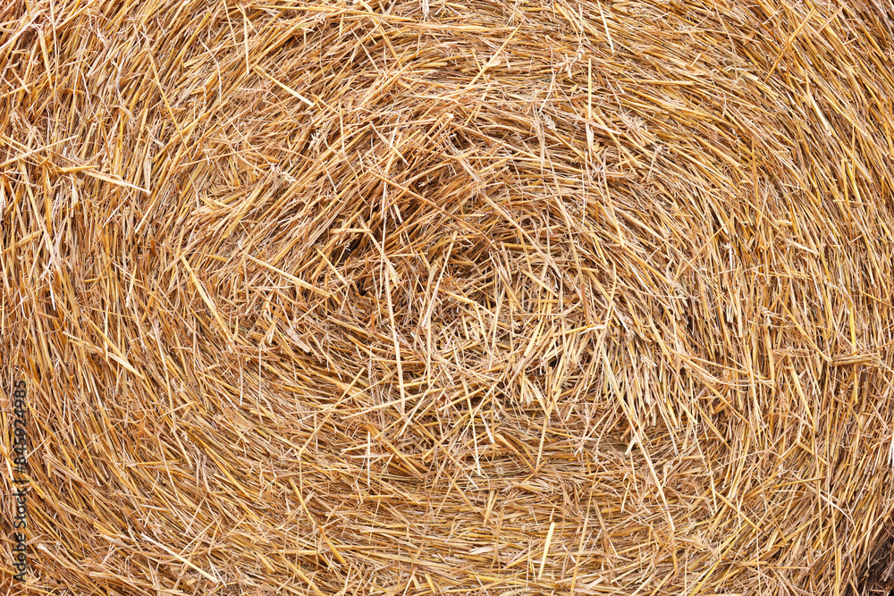 Hay bale roll as background, closeup view Hay bale roll as background, closeup view
