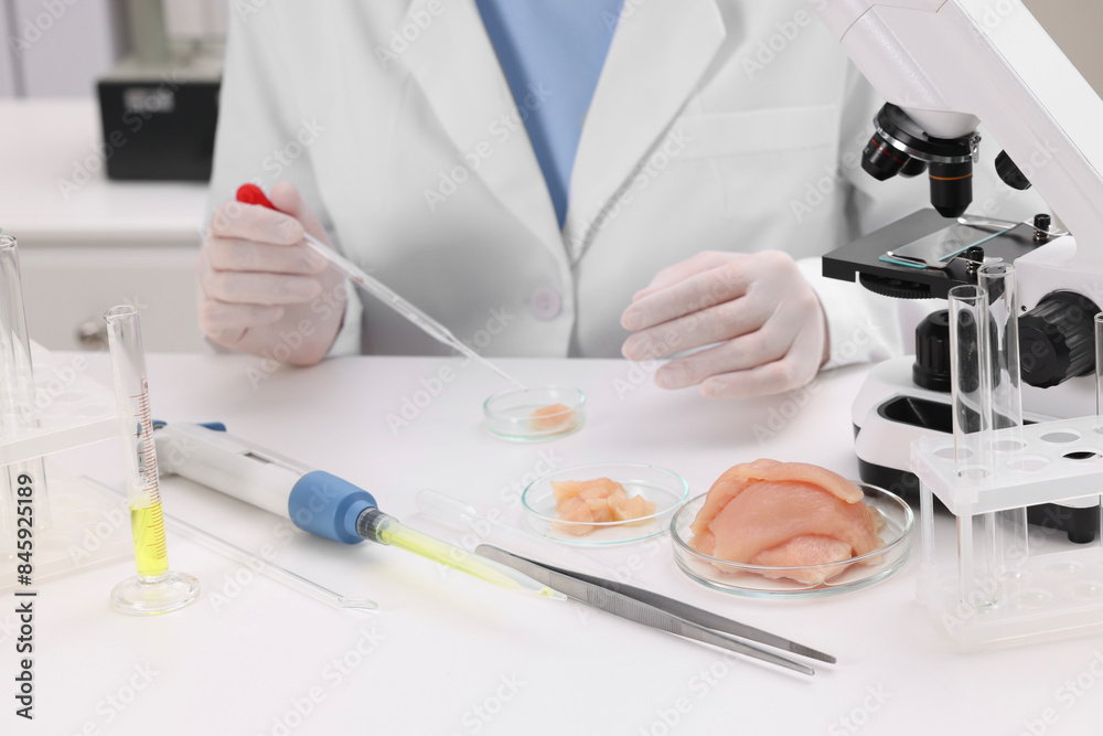Quality control. Food inspector examining meat in laboratory, closeup Quality control. Food inspector examining meat in laboratory, closeup