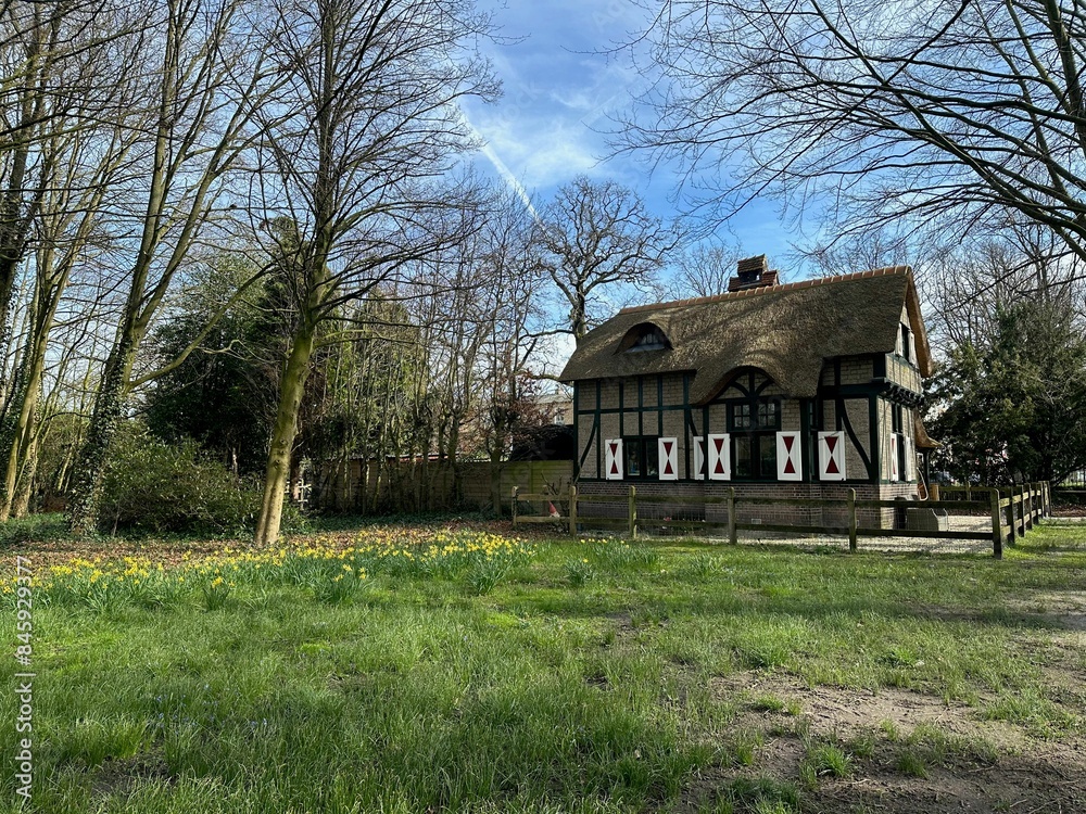 Picturesque view of house and trees in park under blue sky Picturesque view of house and trees in park under blue sky