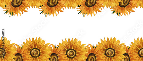 Watercolor sunflower seamless border. Floral banner with yellow flowers. Summer floral composition. Autumn flowers arrangement. Hand drawn botanical illustration for postcard, invitation, greeting.