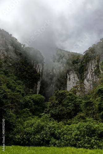Dschungel von Borneo
