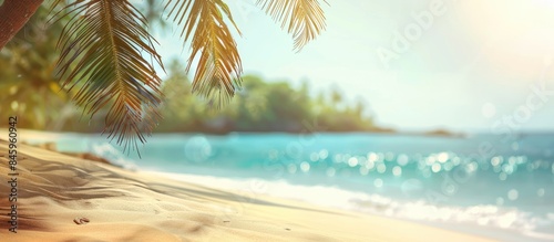 Blurred Palm tree and sandy beach with tropical backdrop  representing Summer vacation and travel idea. Plenty of space for text.