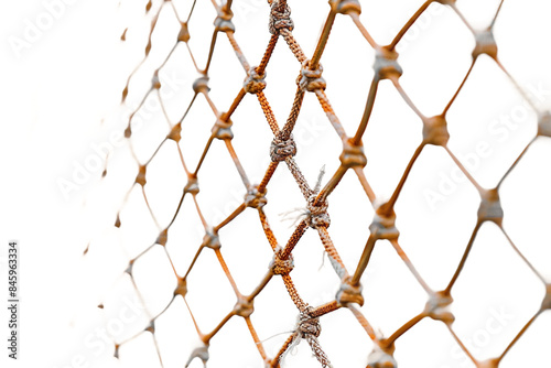 Durable Baseball Net for Training Isolated on Transparent Background