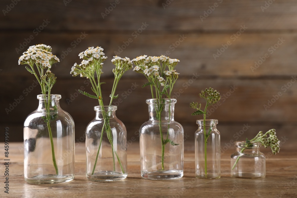 Obraz premium Yarrow flowers in glass bottles on wooden table