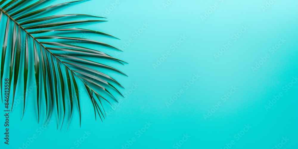 Fototapeta premium summer background