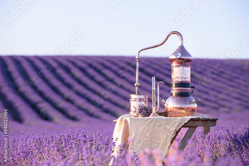 Distillation of lavender essential oil and hydrolate. Copper alambic for the flowering field.