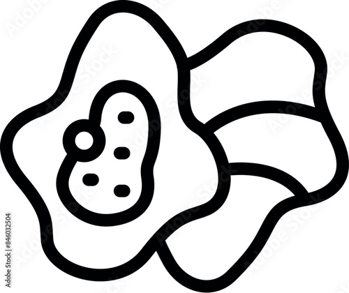 Amoeba engulfing bacteria through phagocytosis with pseudopods forming around its prey