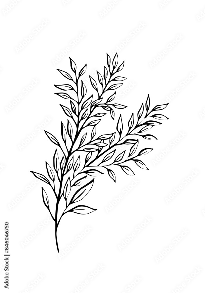 Fototapeta premium Flowers and greenery