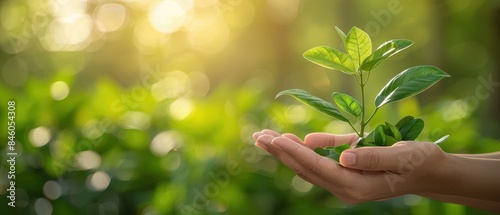 Hand holding a young green plant against a blurred natural background, representing growth, nurturing, and environmental conservation.