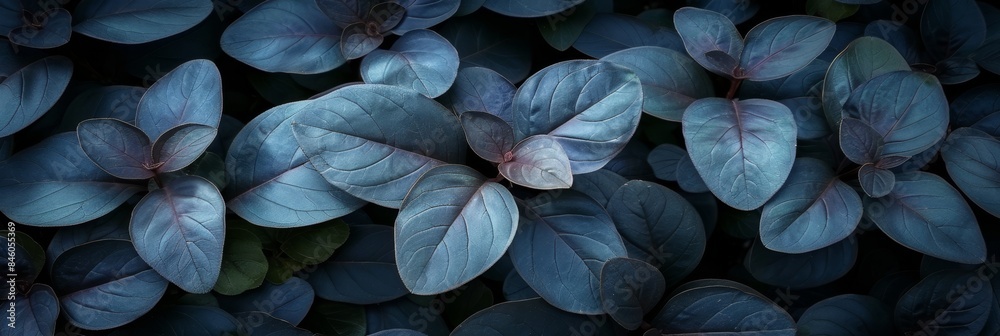 Abstract black leaf textures on tropical background with flat lay design, ideal for nature concept Abstract black leaf textures on tropical background with flat lay design, ideal for nature concept