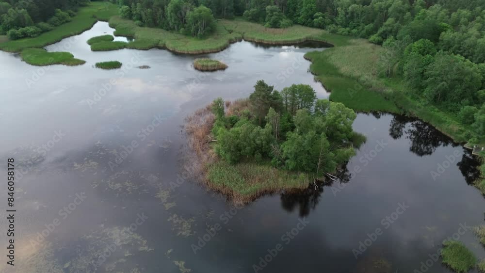 Aerial view of lake with tree island reflecting sky Aerial view of lake with tree island reflecting sky