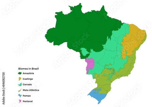 Obraz na płótnie Biomes in Brazil, map of 6 ecosystems with natural vegetation. Amazonia (rainforest), Caatinga (scrub), Cerrado (savanna), Mata Atlantica (Atlantic Forest), Pampa (grassland), and Pantanal (wetland). w salonie