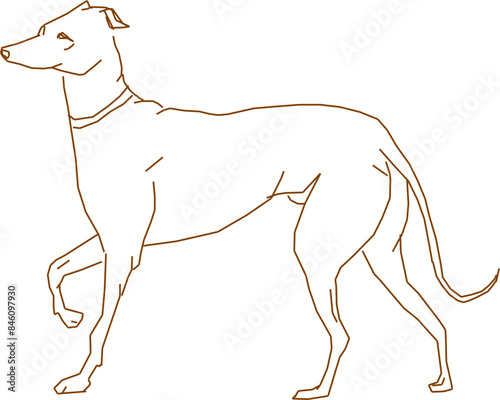 Silhouette sketch vector illustration design detailed drawing of dog pet