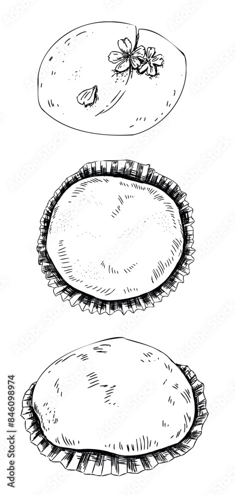 Sketch set of Japan desserts. Hand drawn sweets mochi. Japanese traditional food vector illustration. cooking, menu concept. Doodle style. Japanese traditional cuisine sweet. Sketch set of Japan desserts. Hand drawn sweets mochi. Japanese traditional food vector illustration. cooking, menu concept. Doodle style. Japanese traditional cuisine sweet.