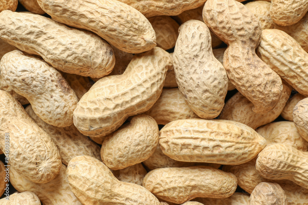 Many fresh unpeeled peanuts as background, top view Many fresh unpeeled peanuts as background, top view