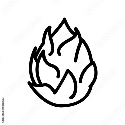 dragonfruit icon