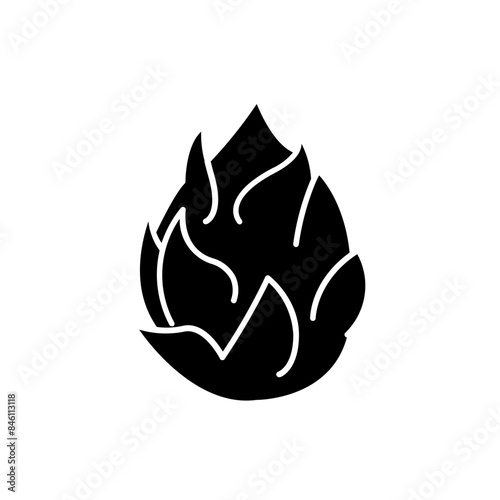 dragonfruit icon