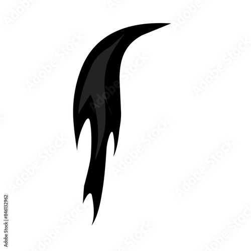 Horse tail icon Vector