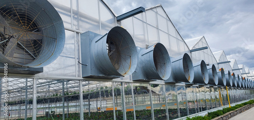  large commercial greenhouse with large venting fans, plants, garden, gardening, greenhouse, nature, environment, green