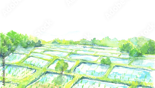 水彩で描いた水田の風景イラスト
