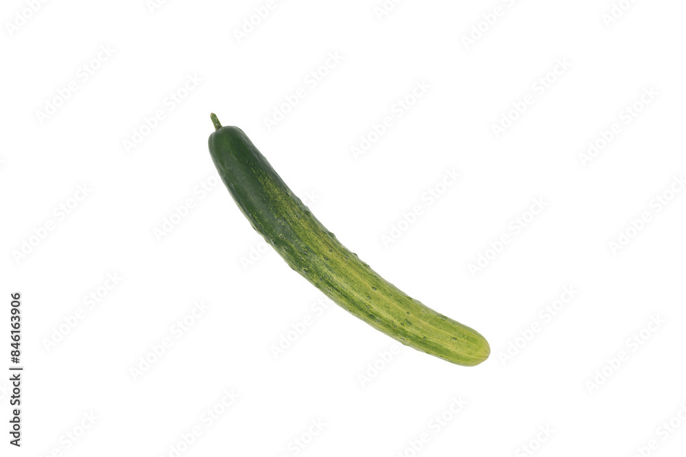 Single fresh cucumber on a white background. Ideal for content about healthy eating, natural foods, and cooking ingredients. Perfect for recipe books, cooking blogs, and wellness media.