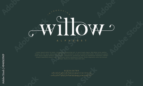 Willow premium luxury elegant alphabet letters and numbers. Vintage wedding typography classic serif font decorative vintage retro. creative vector illustration