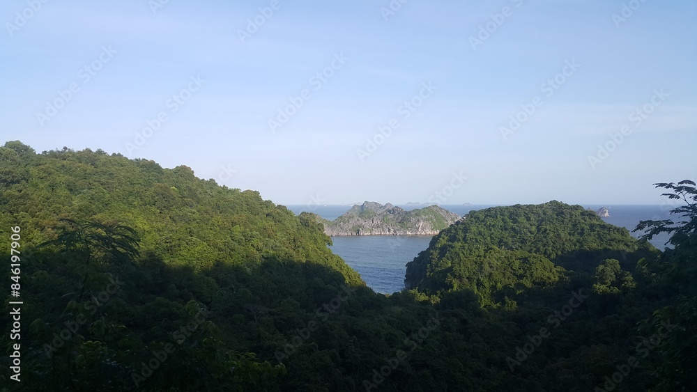 Lush Green Forest View Overlooking Tranquil Bay and Islands in Vietnam Lush Green Forest View Overlooking Tranquil Bay and Islands in Vietnam