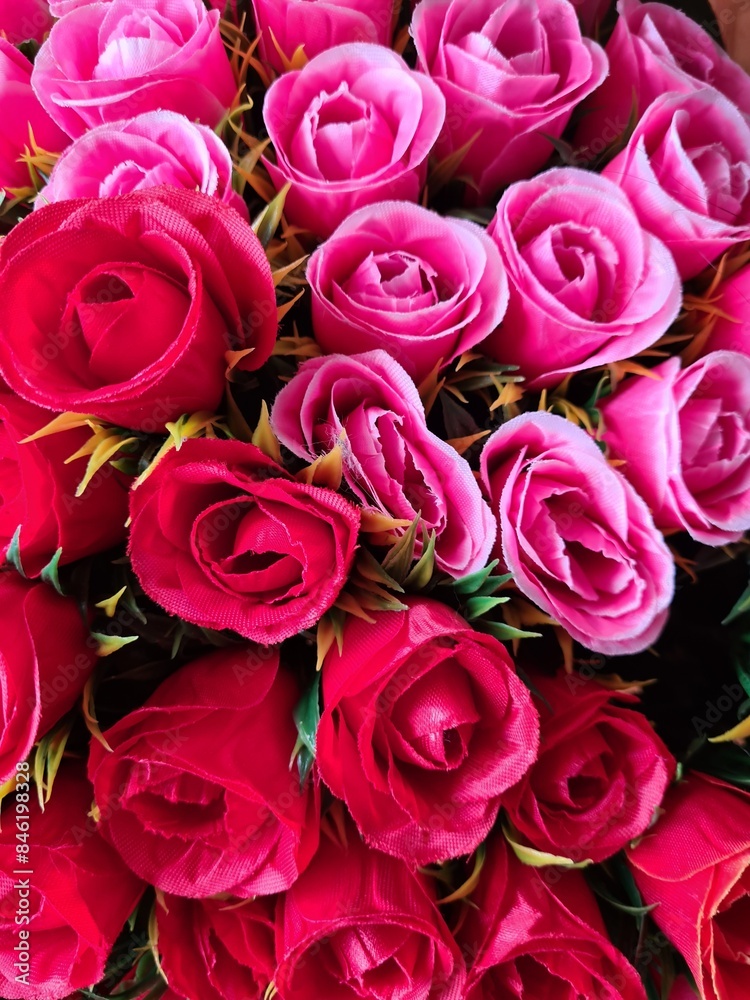 Close-Up View of Red and Pink Roses in a Bouquet Close-Up View of Red and Pink Roses in a Bouquet