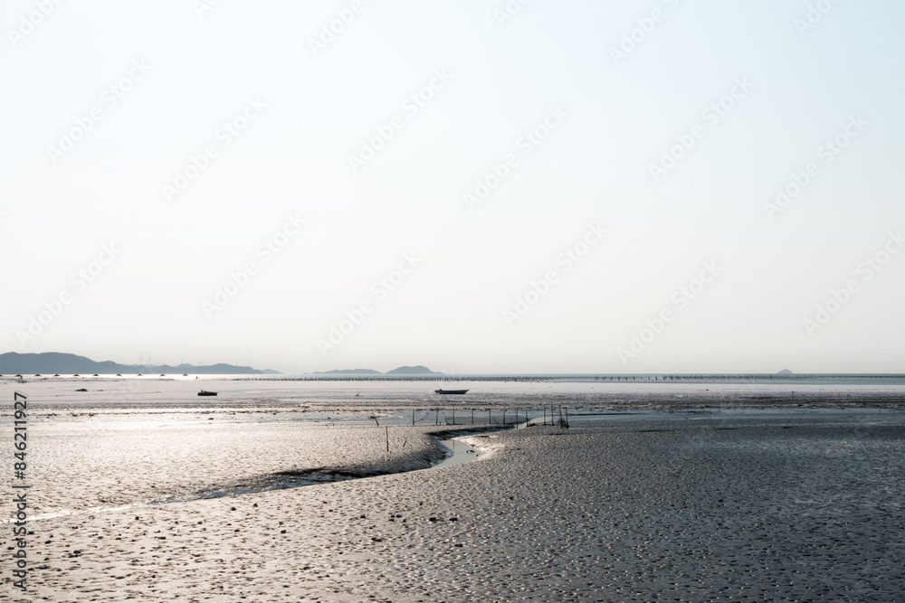 Obraz premium View of the wetland at the seaside