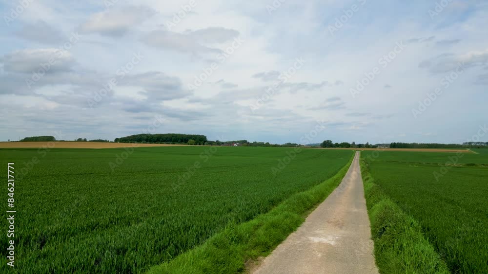 A long, narrow road winds its way through vibrant green fields under a blue sky dotted with fluffy white clouds A long, narrow road winds its way through vibrant green fields under a blue sky dotted with fluffy white clouds
