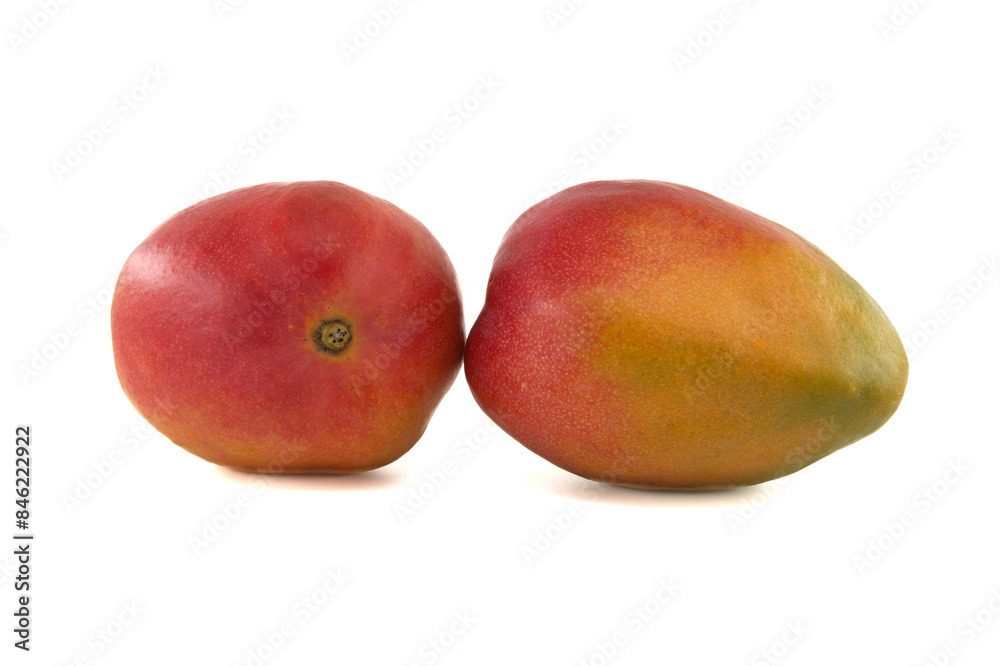 Two ripe vibrant colors mango fruits isolated on white Two ripe vibrant colors mango fruits isolated on white
