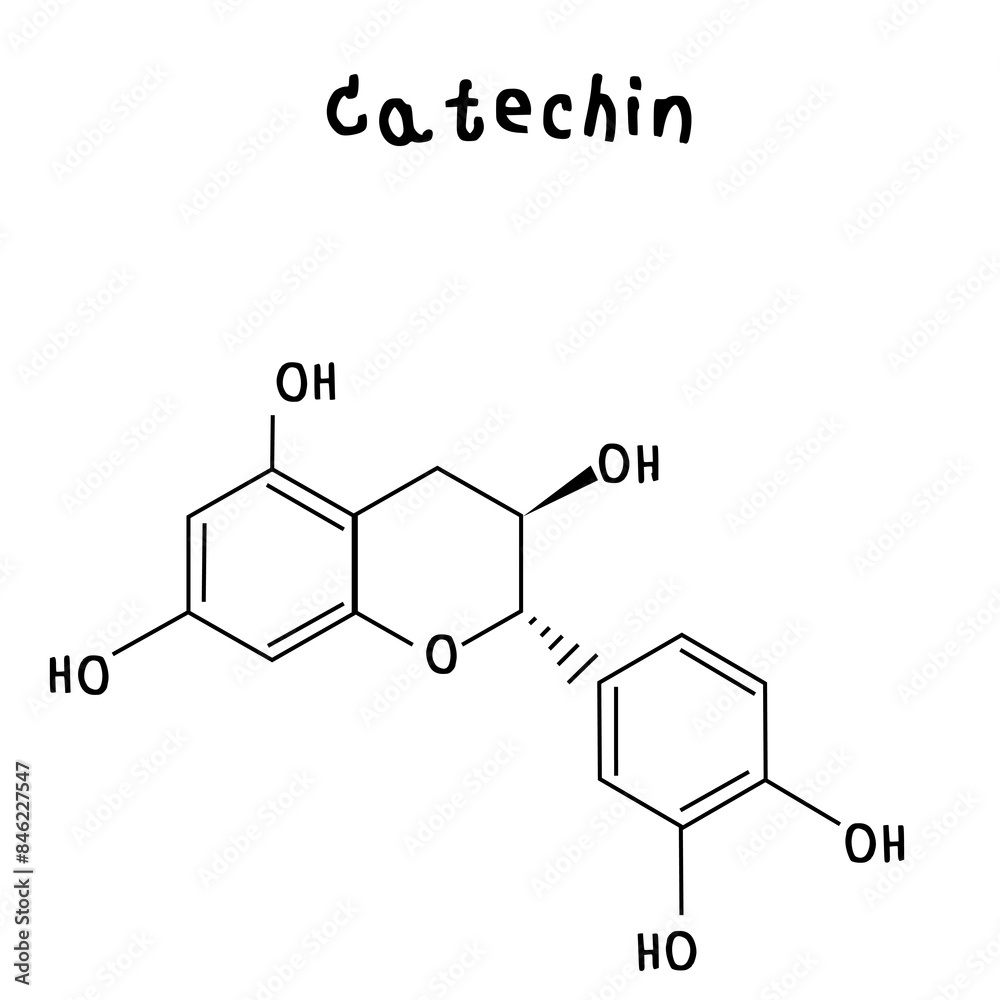 Catechin chemical structure illustration Catechin chemical structure illustration