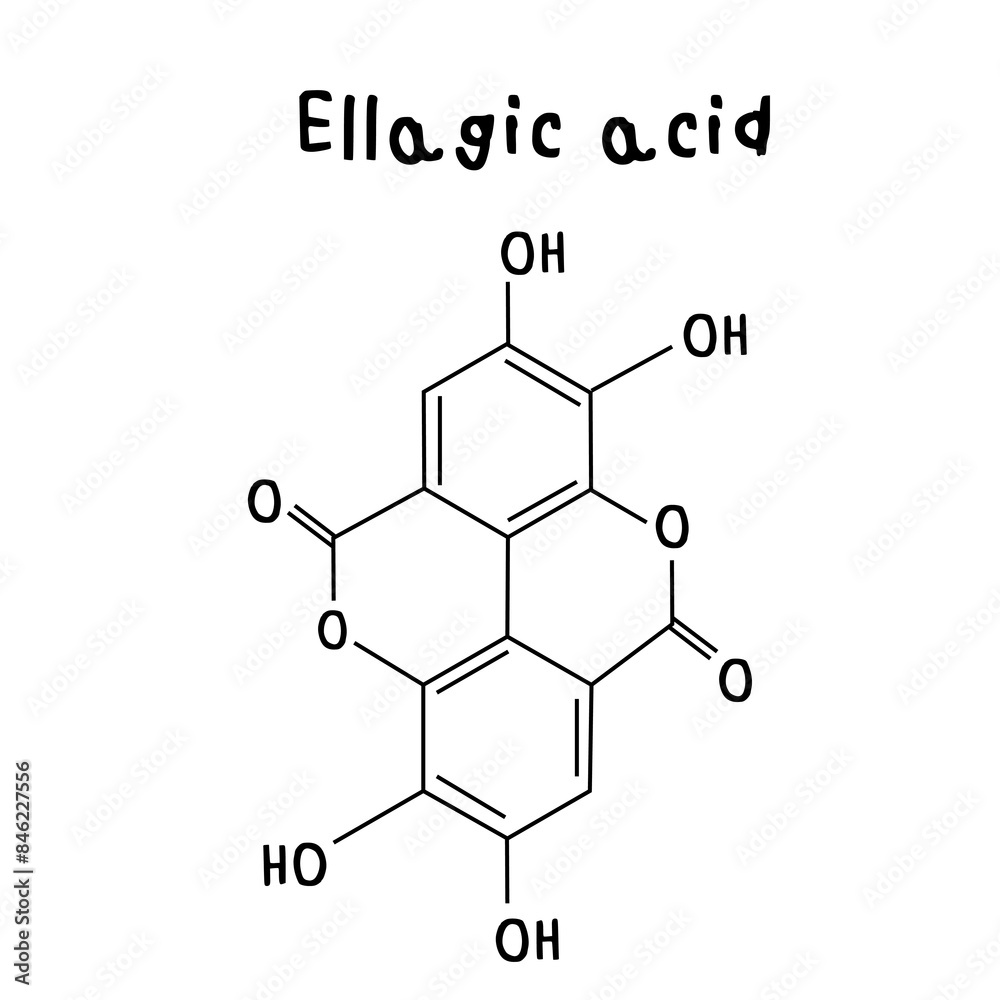 Ellagic acid chemical structure illustration Ellagic acid chemical structure illustration
