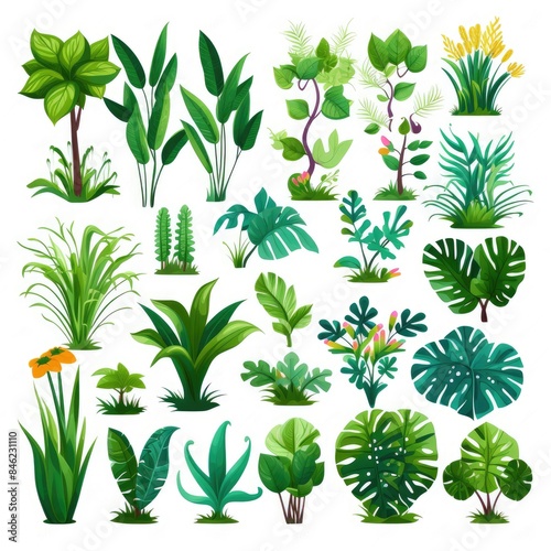 Cartoon Vector Depiction of Tropical Rainforest Flora