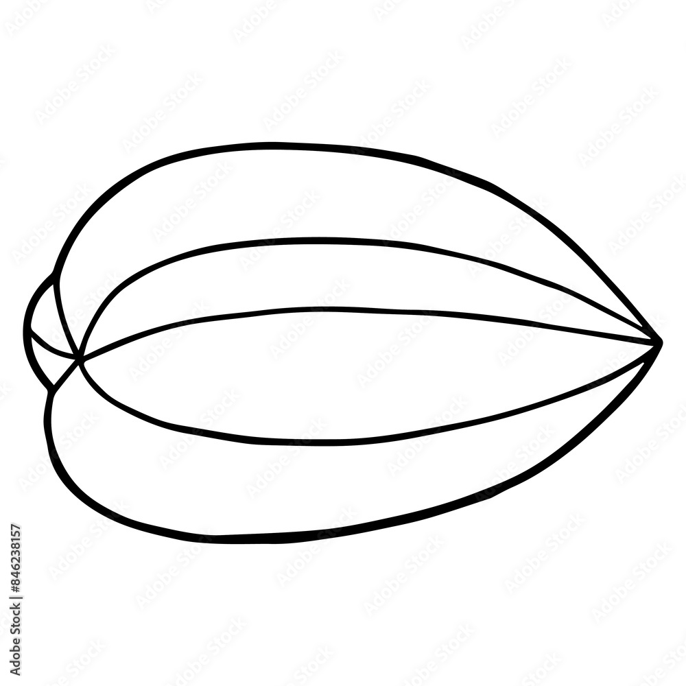 star fruit line vector illustration star fruit line vector illustration