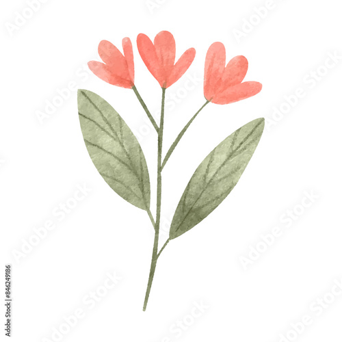 flowers painted with watercolors on white