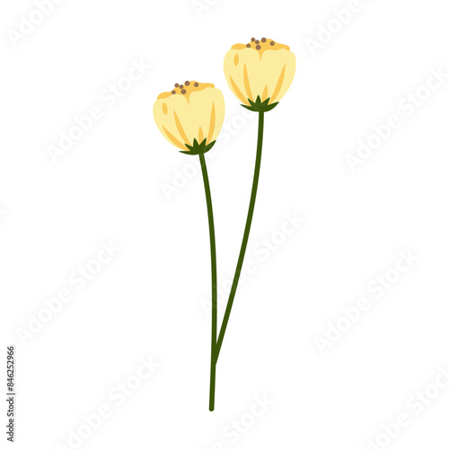 Wallpaper Mural Spring blooming flowers on white background Torontodigital.ca