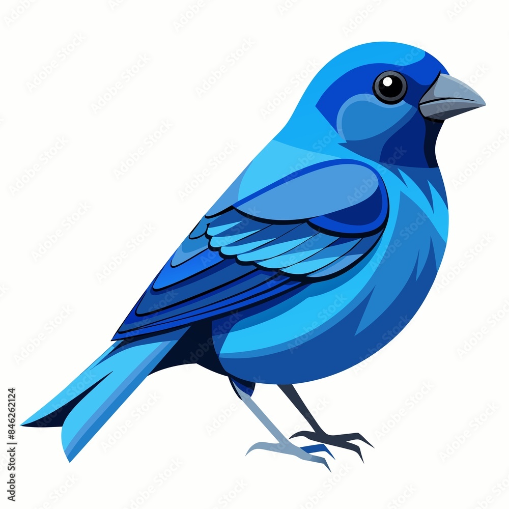 blue bird isolated blue bird isolated