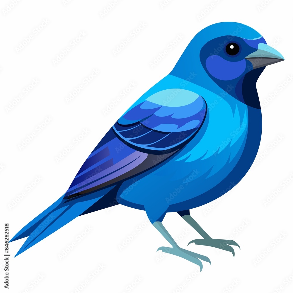 Obraz premium blue bird isolated