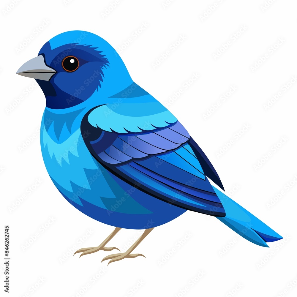 Obraz premium blue bird isolated