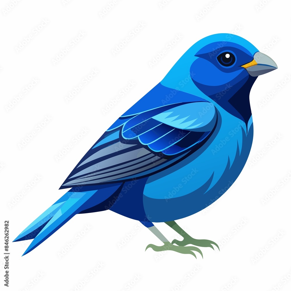 blue bird isolated blue bird isolated