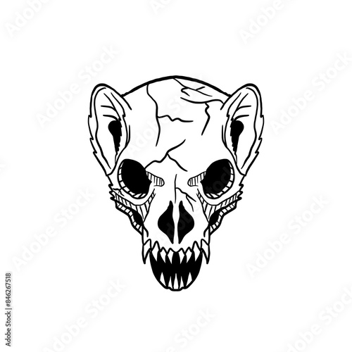 black and white illustration of a ferret skull PNG