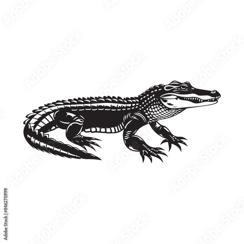 Alligator Vector Art, Icons, and Graphics on white background