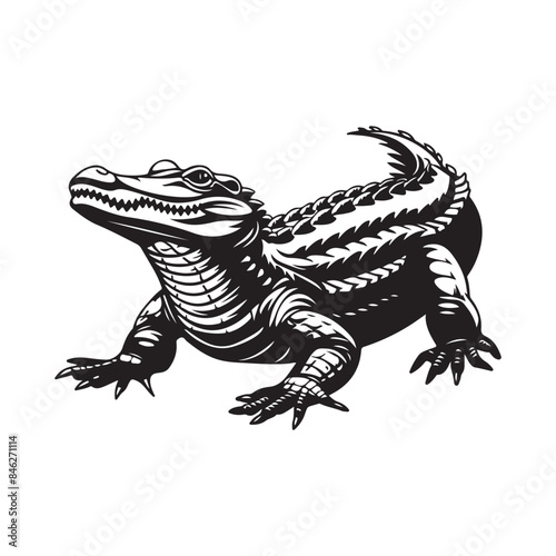 Alligator Vector Images. Illustration of a Alligator isolated on white background
