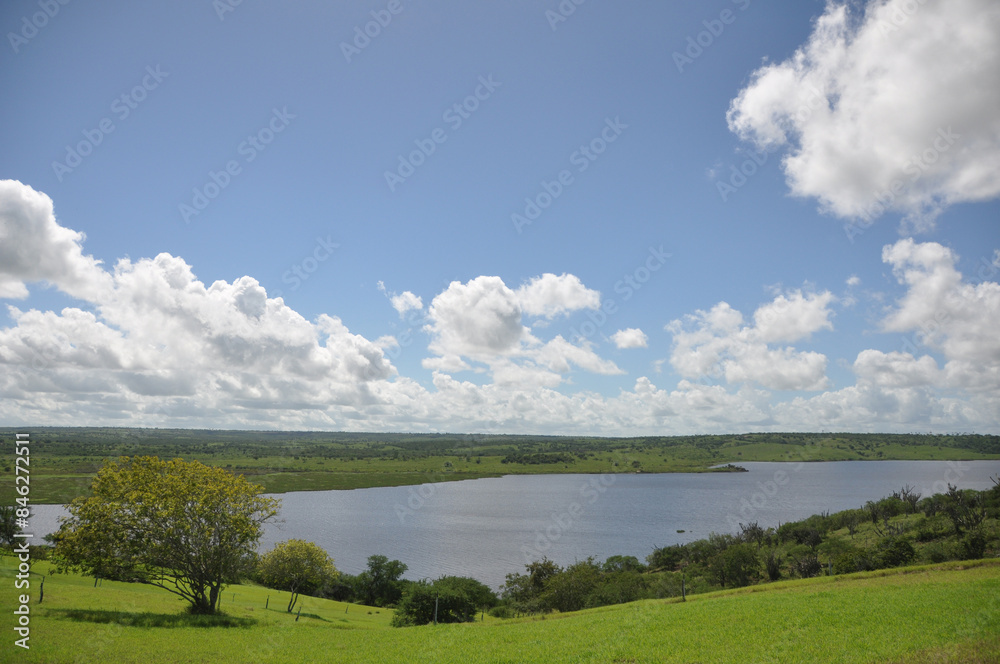 Lush green grass meadow under rural blue sky, grass texture and beautiful lake in the background. Beautiful morning light on green grass farm. the lake of Barragem da Pedra do Cavalo Lush green grass meadow under rural blue sky, grass texture and beautiful lake in the background. Beautiful morning light on green grass farm. the lake of Barragem da Pedra do Cavalo