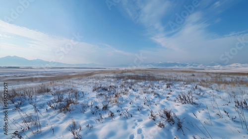 A serene and peaceful panoramic shot of a snowy meadow, with a gentle breeze and distant peaks.