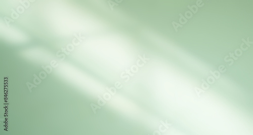 Green Shadow Abstract Background Overlay Leaf Natural blur Cement Wall Floor Beige Mockup Product Cosmetic Summer Tropical Nature Presentation Frame Template Eco Backdrop Environment Platform.